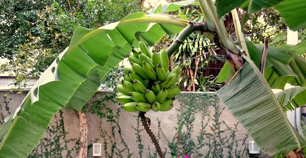 Gavea Bnb Rio de Janeiro Exterior photo